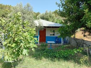 Dar zitouna - Chefchaouen - 9