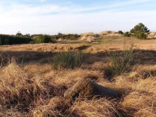 Beachfront Bliss - By Traum Ferienwohnungen - 5