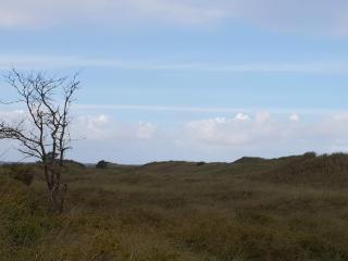 7 person holiday home in Jerup-By Traum - 1