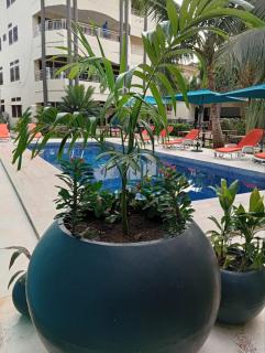 LA Maison Sur Le Fleuve - 6