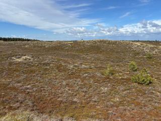 Tranquil Retreat in Romo - By Traum Ferienwohnungen - Toftum - 3