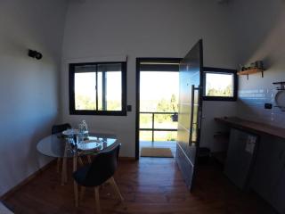 Bosque patagonico - 2