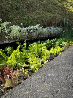 Casa Exclusiva para Casal em Bragança Paulista-SP - 7