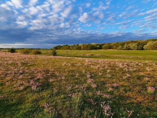 10 person holiday home in Dragør-By Traum - 6
