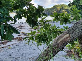 8 person holiday home in Asnæs-By Traum - 6