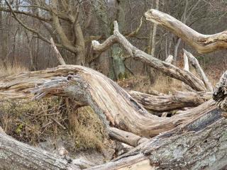 8 person holiday home in Vig-By Traum - 2