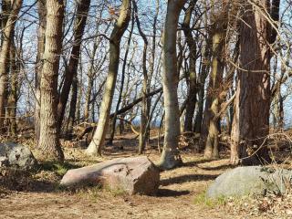 8 person holiday home in Vig-By Traum - 1