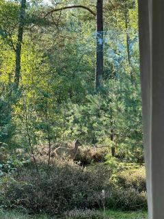 Holiday Home By Forest And Beach On Bornholm - 1