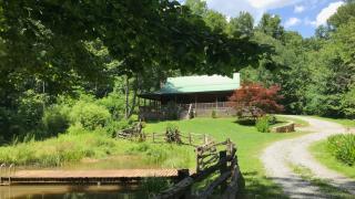 Charming Blue Ridge Cabin Private Pond and Waterfall Deer Haven by AvantStay - 4
