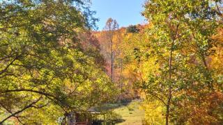 Charming Blue Ridge Cabin Private Pond and Waterfall Deer Haven by AvantStay - 3