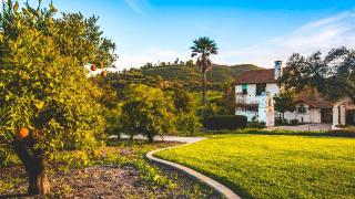 5 Acre Estate w Lake Pool Hot Tub De Luz by AvantStay - Murrieta - 3