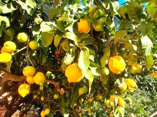 Casa Happy Holiday - 9