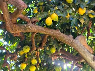 Casa Happy Holiday - 8