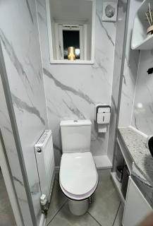 Newly renovated, modern studio within a detached - 6