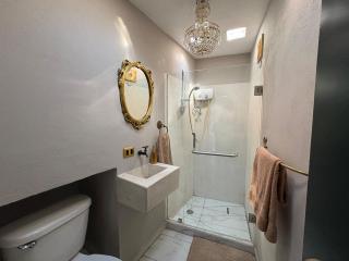 El francés - San Miguel de Allende - 4