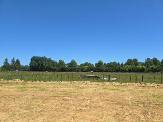 Clamping Caravan - Whanganui - 5