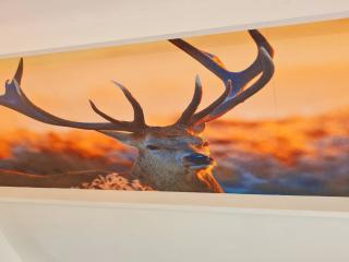 Comfortable Fenced Chalet in Durbuy - 1