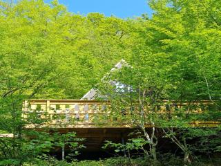 Elegant Chalet Getaway in Ardennes - 1