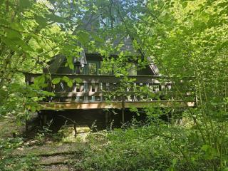 Nature Retreat Close to Durbuy Town - 5