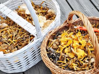 4 person holiday home in KODE - 1