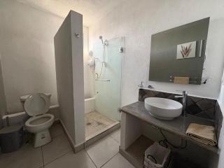 Loft gris alegre - San Miguel de Allende - 4