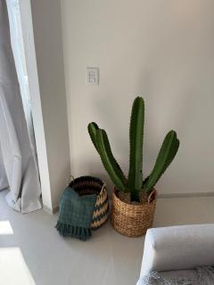 ARK Houses - Luxo Frente ao Mar com Piscina na Cobertura - 6