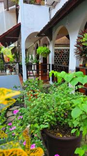 Hospedaje plaza inn - 4