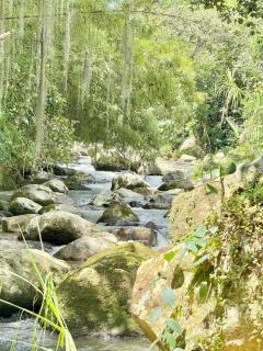 Cabaña frente al Río - 0