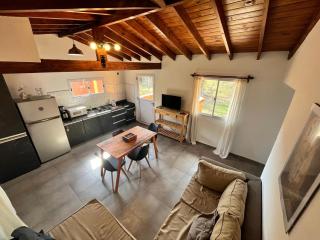 El Cuyanito Merlo - Merlo - 7