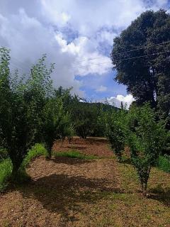 A Home Above the Clouds Riturain Mukteshwar - 3