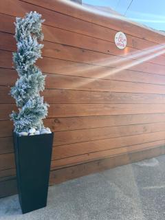 Moonlit Serenity - 8