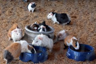 FLAT MONTE CASTELO CONDOMÍNIO GRAVATÁ NA FRENTE DA ÁREA DE LAZER - Pe - 1