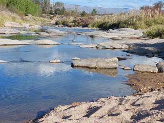 Guathemoc cabañas - 6
