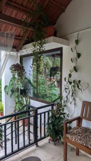 REJOICE Homestay - 3