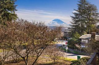 Sunny Seattle Home Mt Rainier UW Steps Away - 8