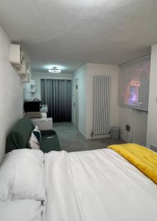 Sheffield Modern Studio with Free Charging - 7