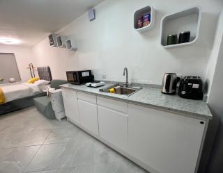 Sheffield Modern Studio with Free EV Charging - 5