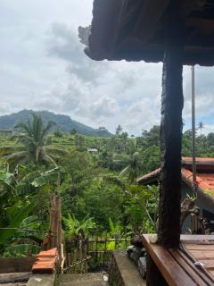 Wayan Bola Homestay - 2