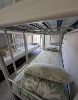 Bluetongue Hideout - Mount Pritchard - 5