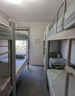 Bluetongue Hideout - 6