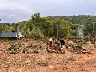 Mơ House Eco Homestay on hill - 1