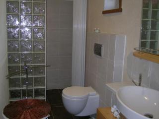 Séjour nature au Domaine avec Animaux admis, Piscine et Jardin - FR-1-489-610 - 3