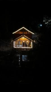 Bawli Treehouse Duplex, Jibhi - 9