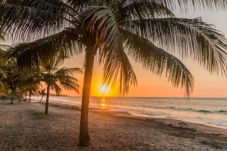 The Blue Coral -Luxury house 2mins from the beach - Tulián - 8