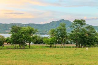 Nelblu Flamingo Suites - 4