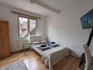 Cozy Apartment in The Black Forest - 2