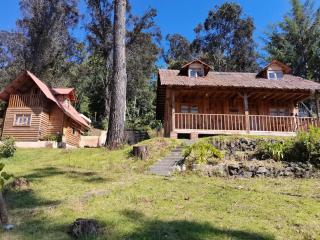 cabañas viña real - 5