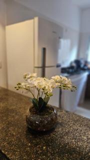 Residencial Mar de Pitinga - 9