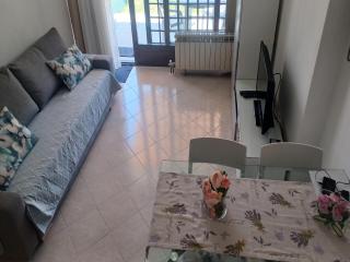 Apartment on Lake Maggiore with Garden - 5