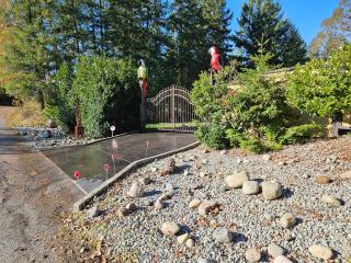 Calm Chaos Maple Bay - 4